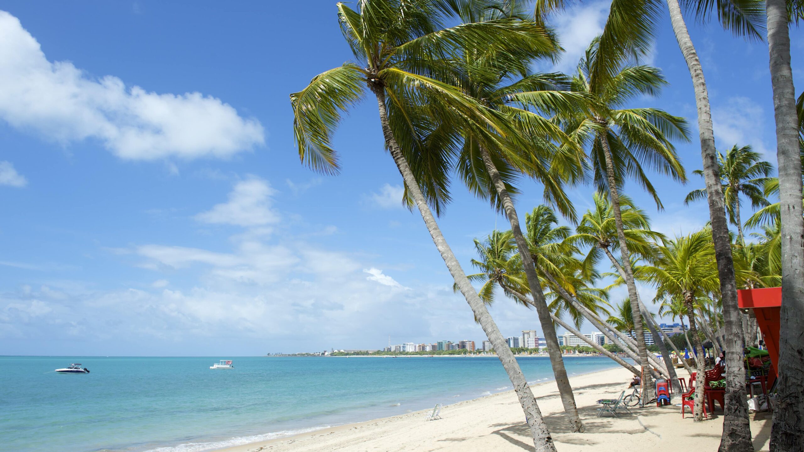 praia-paju__ara-maceio