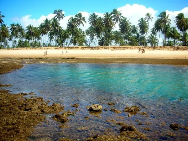 e7912c5d8344afb3e5efe35e2060ea8e